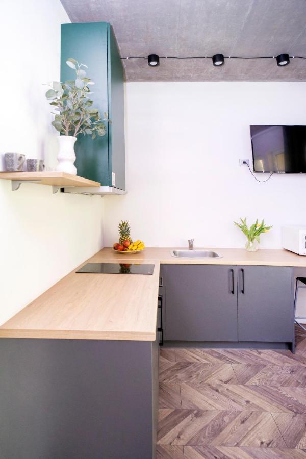 House 22A Studio Apartments Каунас Екстер'єр фото
